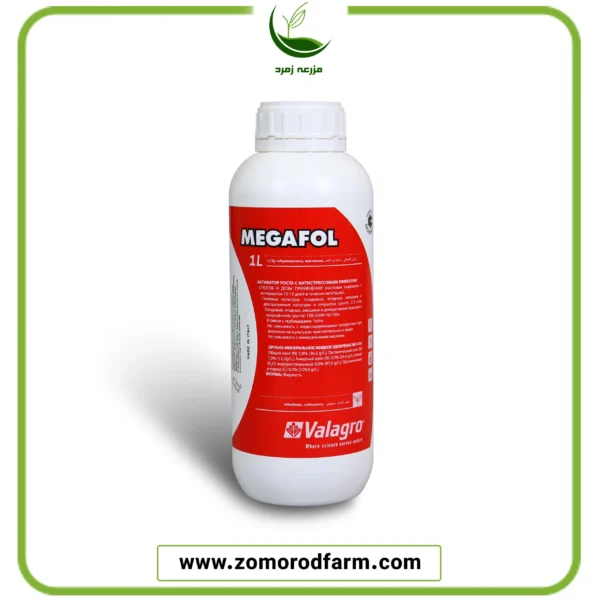 مگافول ولگرو