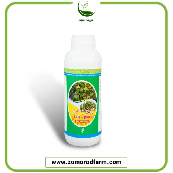 توفوردی امسیپیآ