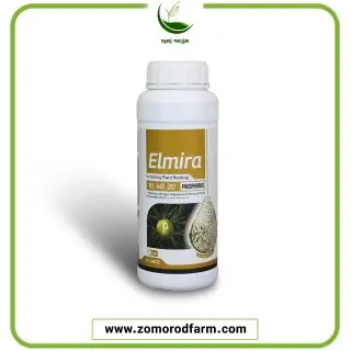 المیرا پرونایس