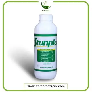 استونپلکس آرمان سبز