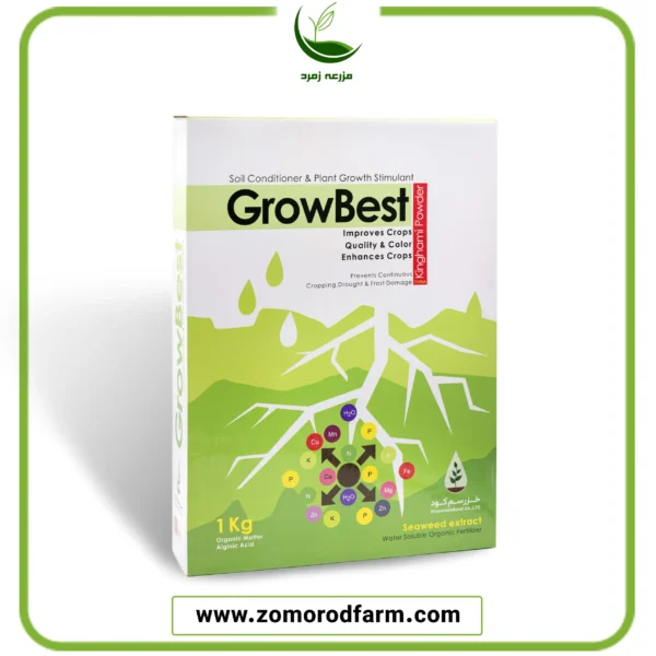 جلبک دریایی گروبست