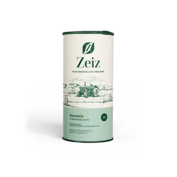 جلبک دریایی آسکوزایز