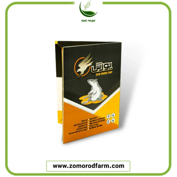 چسب موش یورش