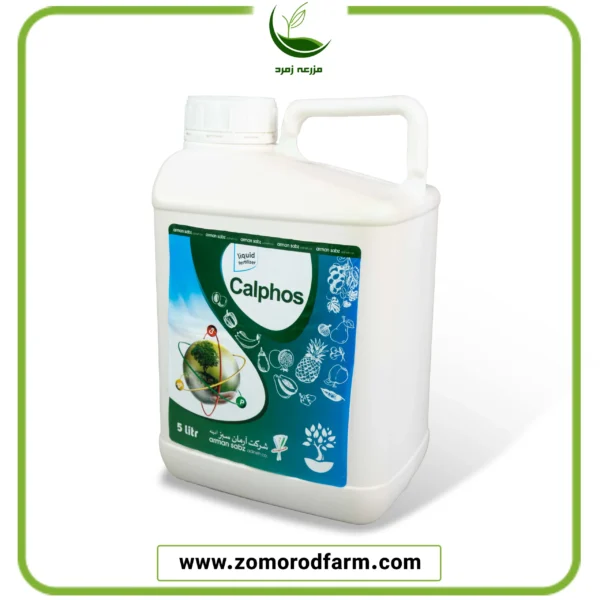 کلفوس آرمان سبز