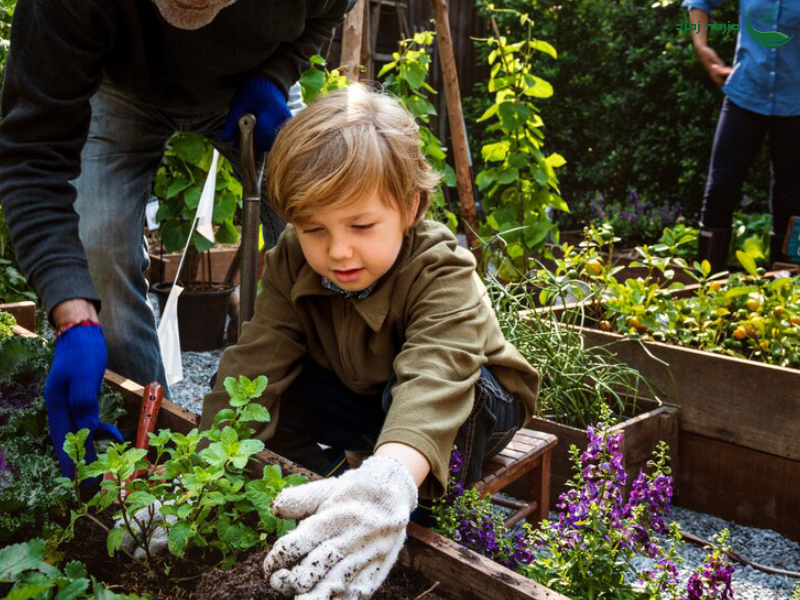 20بیماری رایج گوجه فرنگی