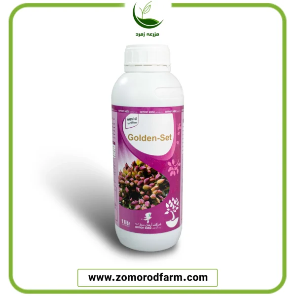 فروت ست بهاره گلدن ست