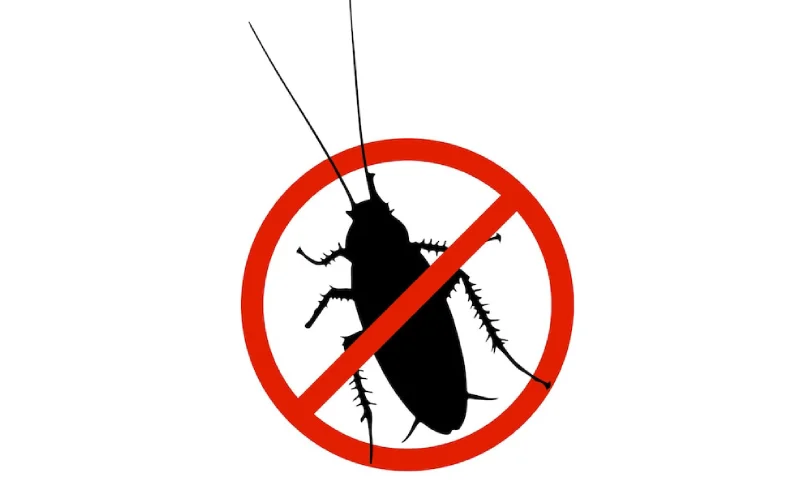 قوی ترین سم سوک