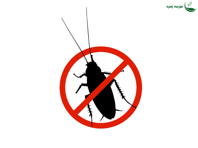 قوی ترین سم سوک