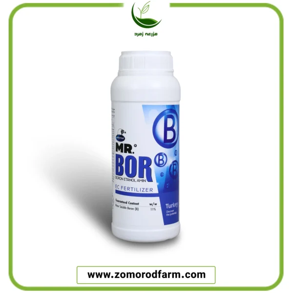 مستر بٌر اگروتار