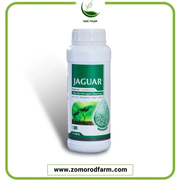 جگوار (پرونایس)