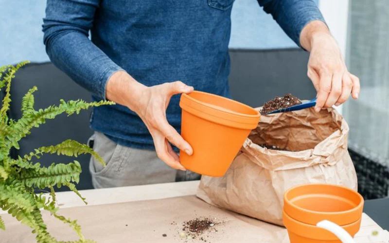 کود مناسب برای نهال میوه