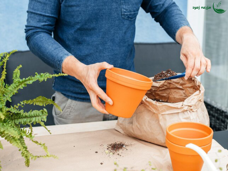 کود مناسب برای نهال میوه