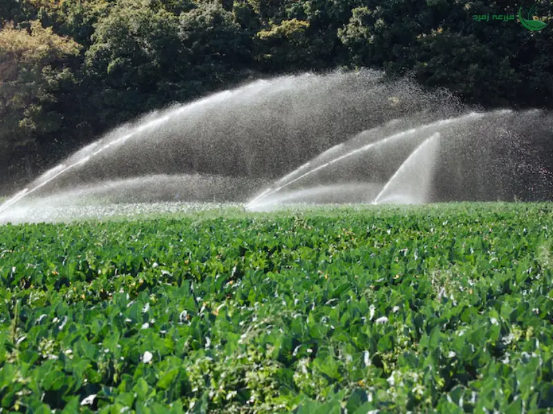 آب‌پاش تمام دور