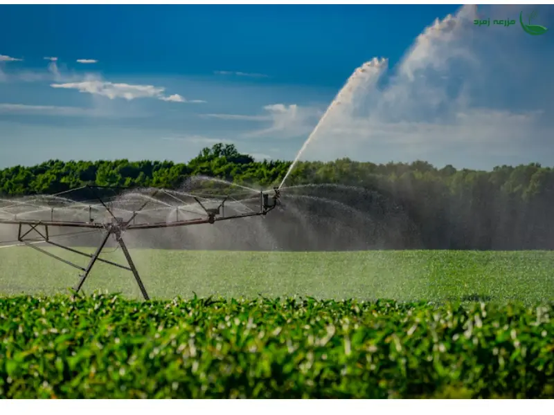 آبیاری بارانی