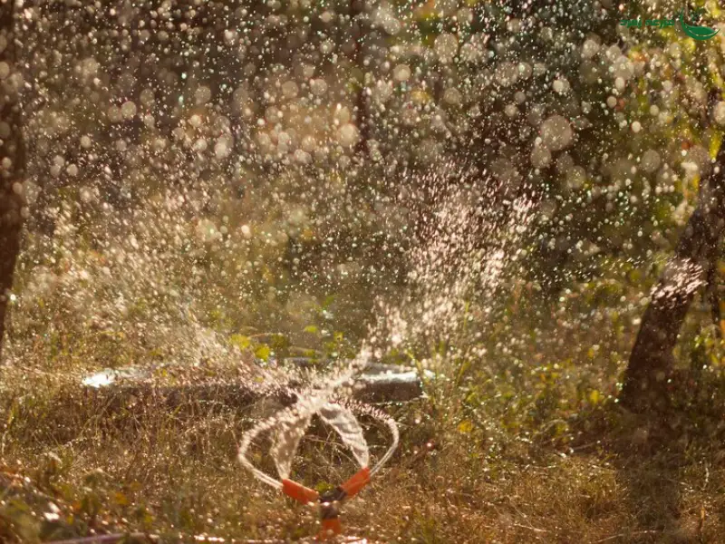 آبیاری قطره ای