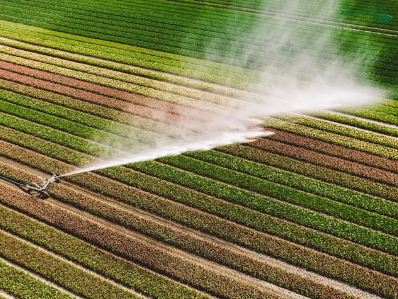 آبیاری قطره ای