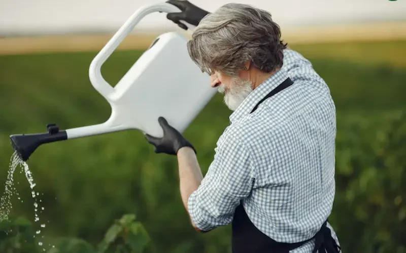 آبیاری کلاسیک