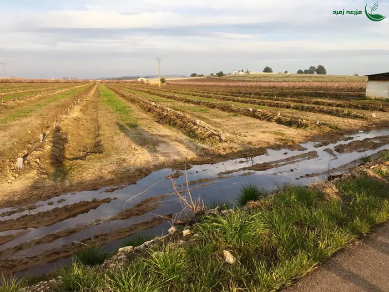 زمین های مستعد کم آبیاری