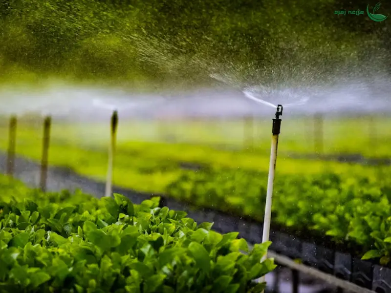 قطره چکان ها