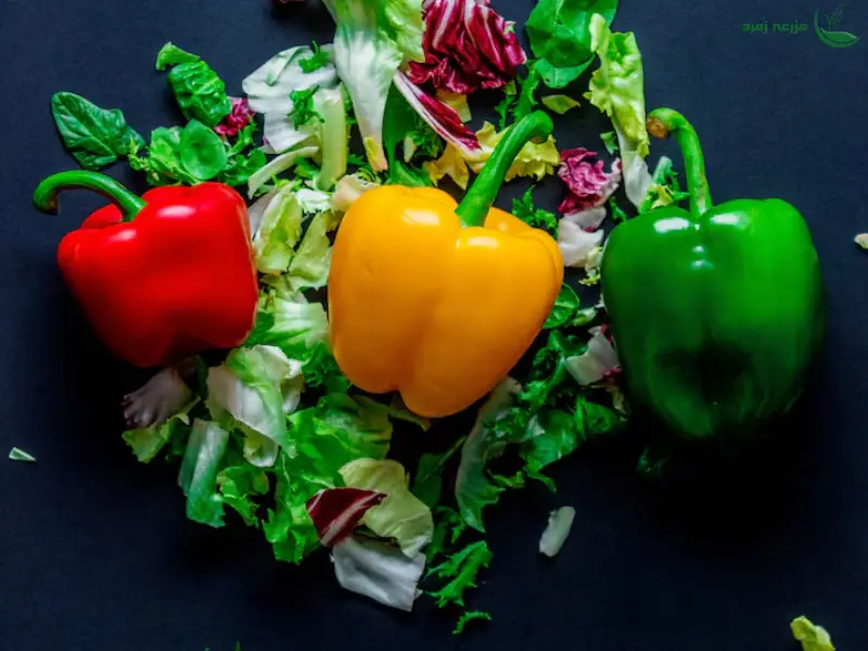 محصولات هیدروپونیک