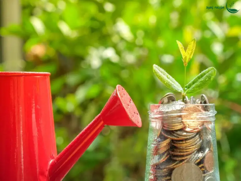 مزایای روش کم آبیاری