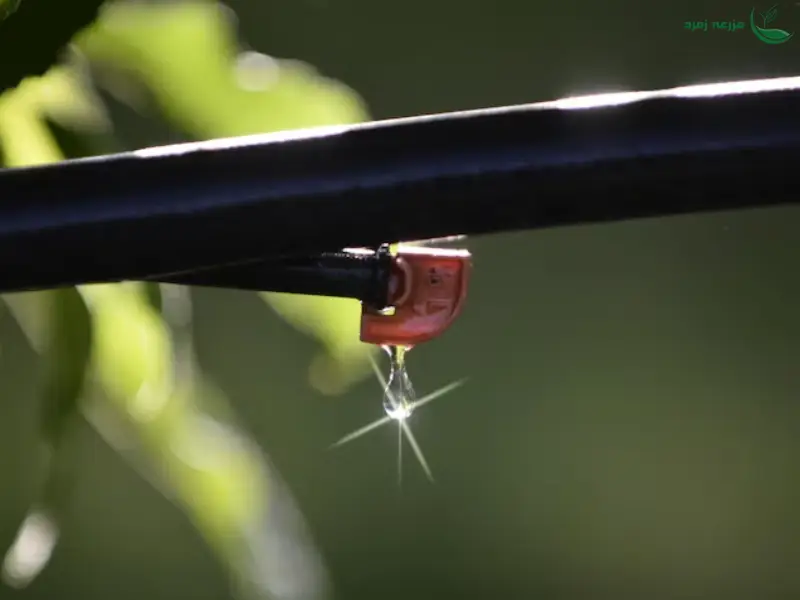 میکروآبیاری