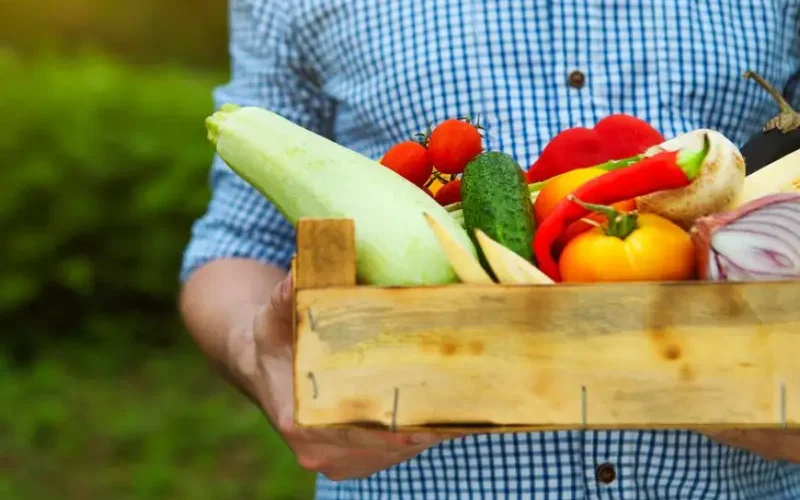 محصولات پر سود کشاورزی