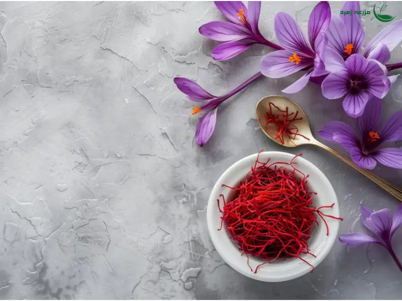 زعفران