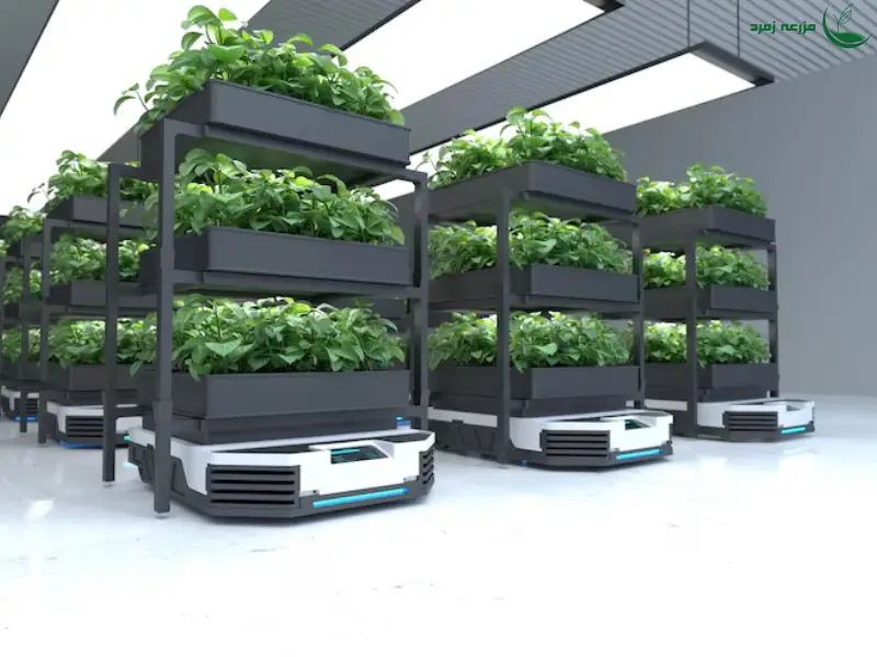 کشاورزی عمودی