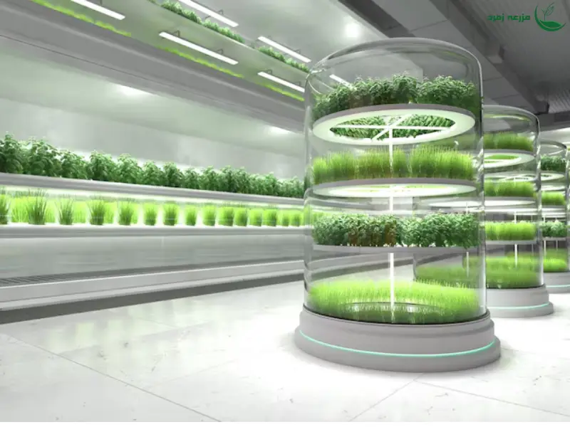 کشاورزی هیدروپونیک