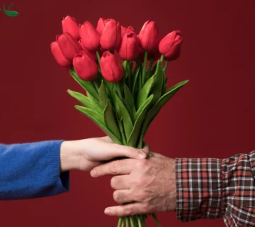 هدیه دادن گل؛ وقتی زیبایی به معنی تبدیل می‌شود