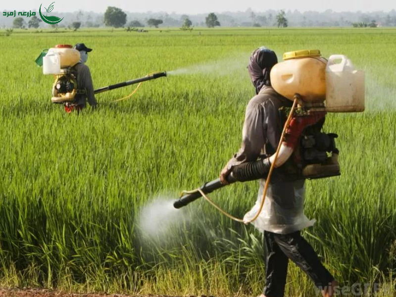 استفاده از کود بدون بررسی وضعیت خاک