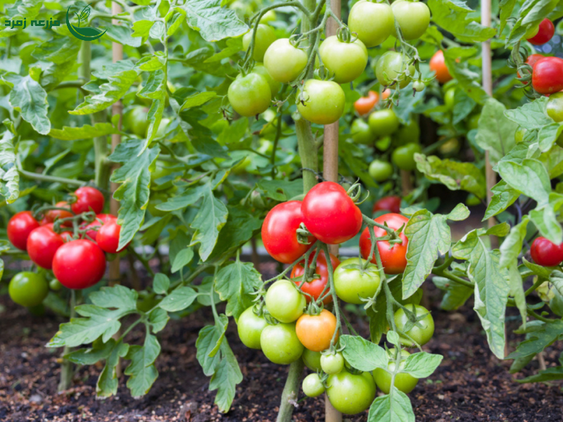 اماده سازی خاک