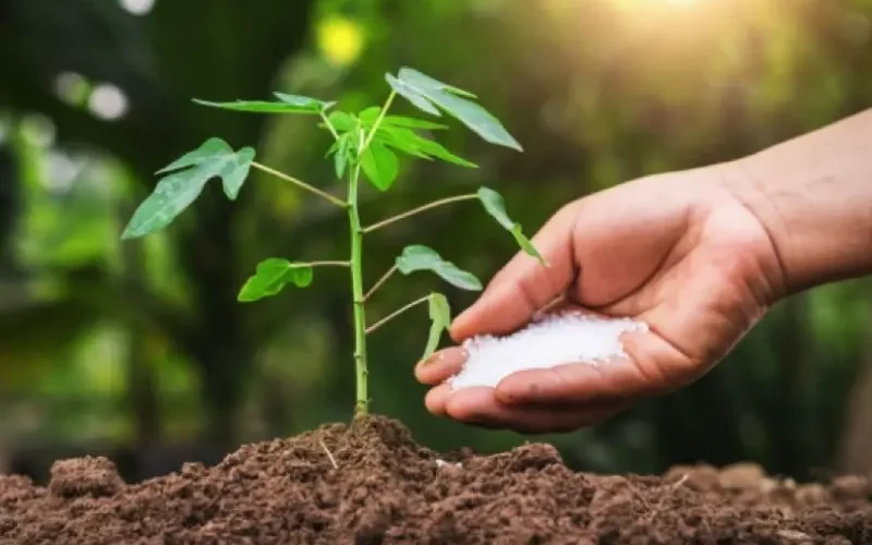 راهنمای جامع انتخاب کود مناسب برای هر فصل