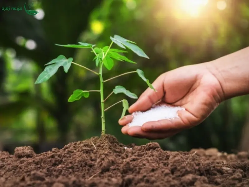 راهنمای جامع انتخاب کود مناسب برای هر فصل