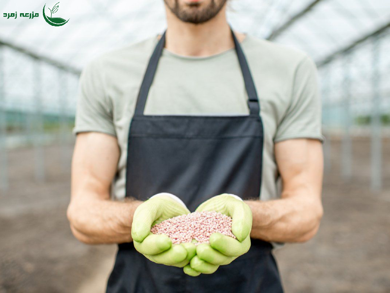 مصرف بیش از حد کودهای نیتروژنه