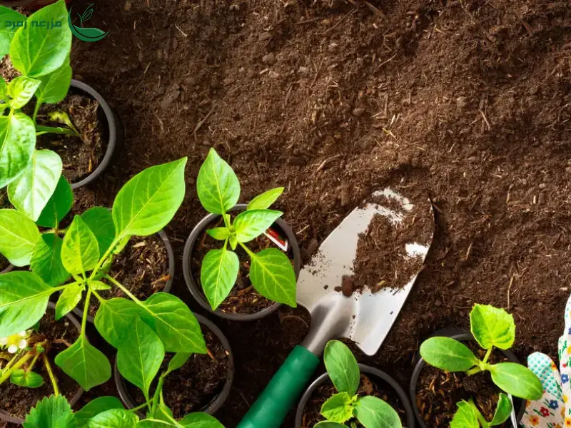 ابزار و مواد مورد نیاز برای آماده سازی خاک باغچه پاییزی