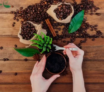 تاثیر تفاله قهوه بر انواع گیاهان مختلف