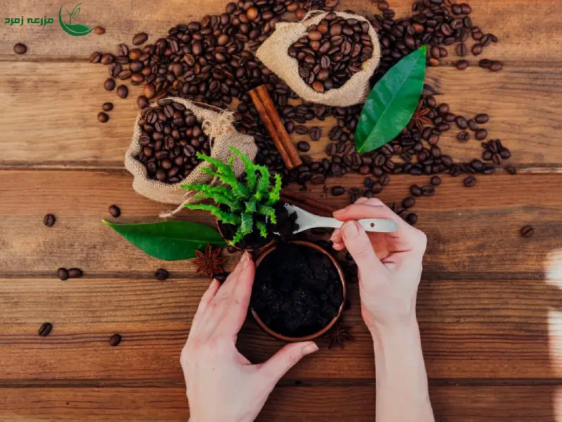 تاثیر تفاله قهوه بر انواع گیاهان مختلف