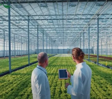 کشت گلخانه‌ای ، آینده کشاورزی