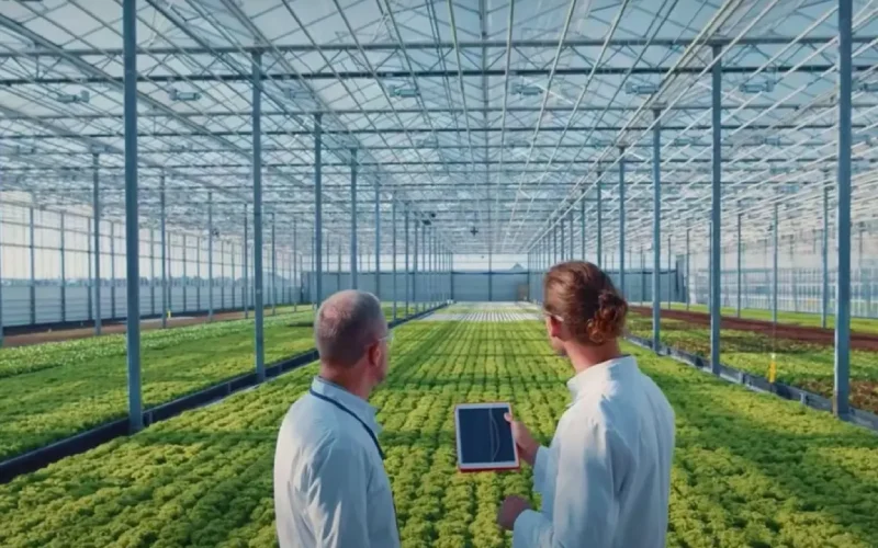 کشت گلخانه‌ای ، آینده کشاورزی