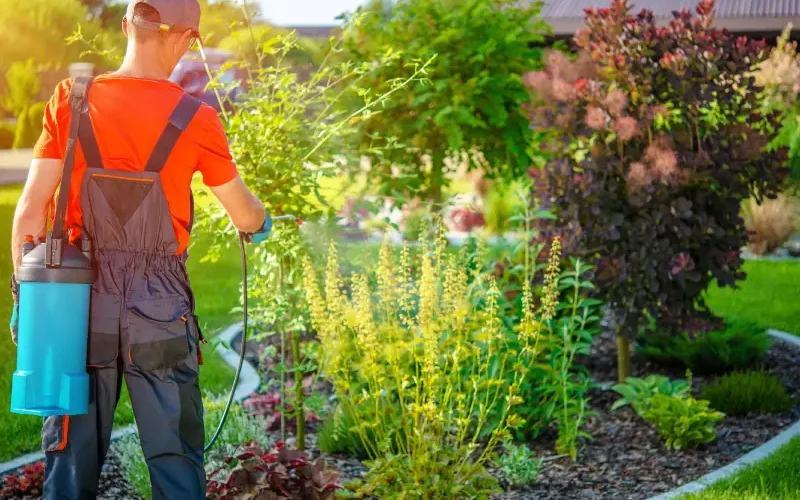 کنترل آفات باغچه به روش ارگانیک ؛راهکارهای طبیعی و مؤثر