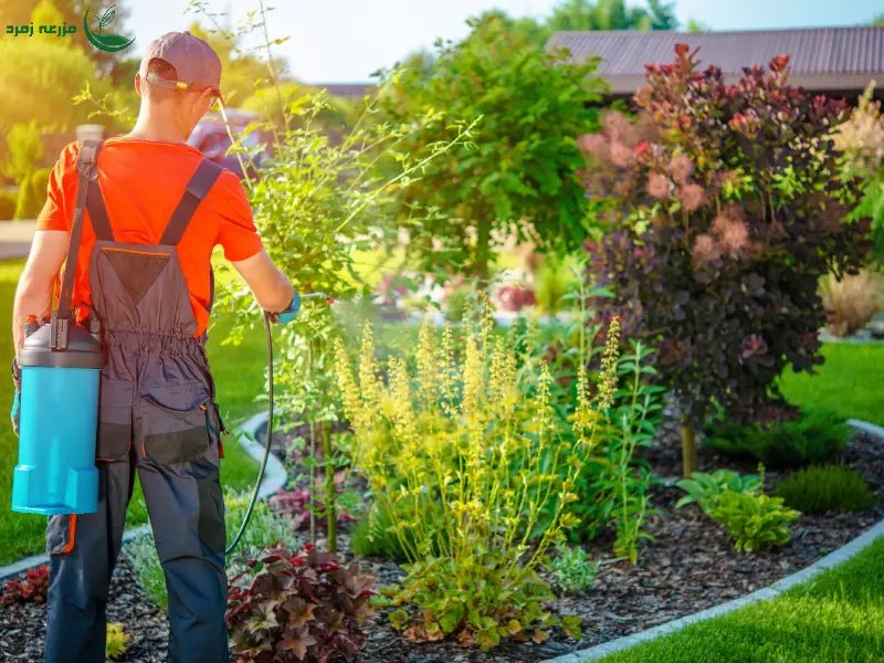 کنترل آفات باغچه به روش ارگانیک ؛راهکارهای طبیعی و مؤثر