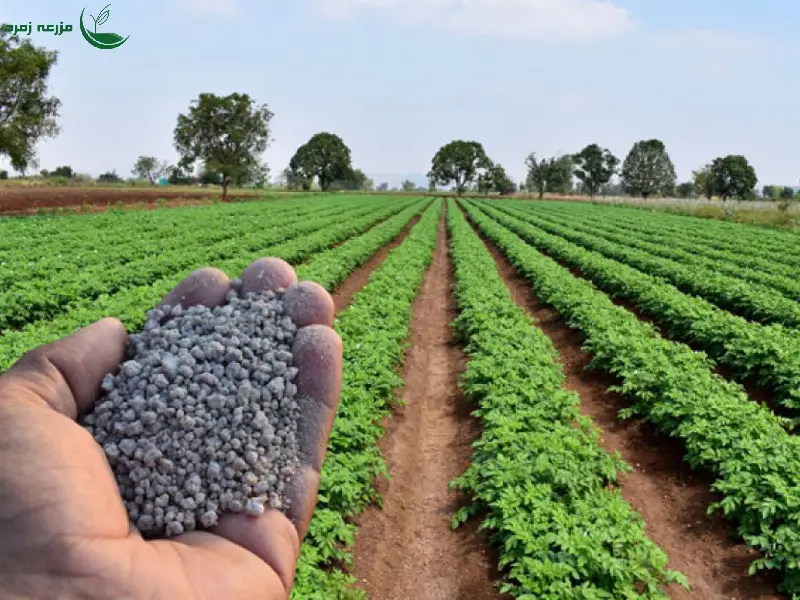 انتخاب کود مناسب برای هر فصل