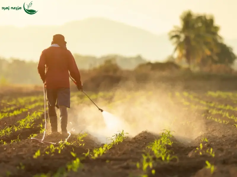 مزایای کودهای زنده