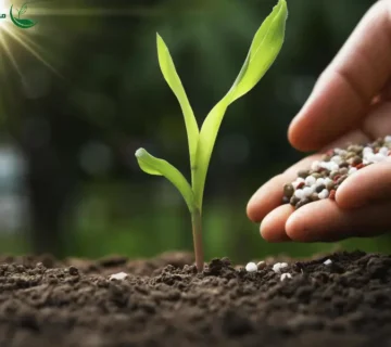 کودهای زنده معرفی نسل جدید کودهای کشاورزی