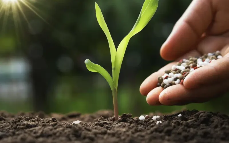 کودهای زنده معرفی نسل جدید کودهای کشاورزی