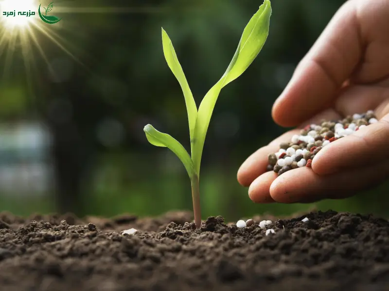 کودهای زنده معرفی نسل جدید کودهای کشاورزی