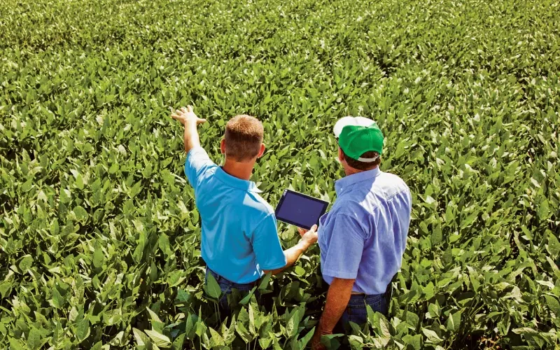 اهمیت افزایش کیفیت محصولات کشاورزی