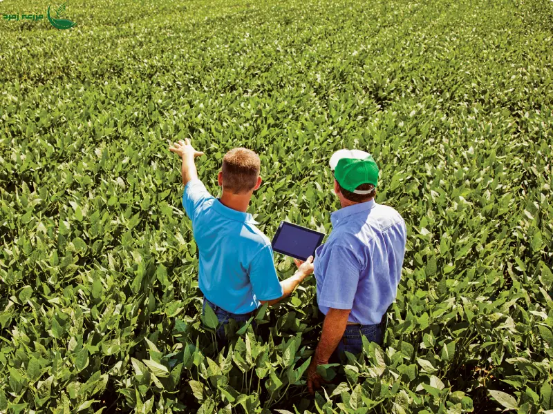 اهمیت افزایش کیفیت محصولات کشاورزی